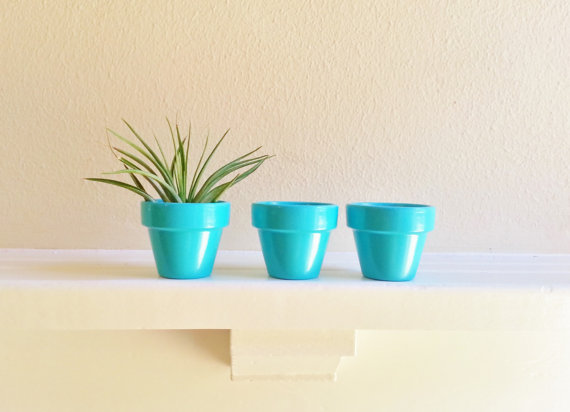 50 Best Bridal Shower Favor Ideas: mini planter pots (by redstone works)